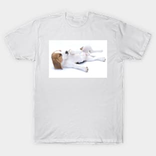 Beagle (4) T-Shirt